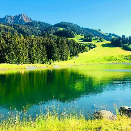 Apartment Chalet Lorraine Sankt Johann in Tirol